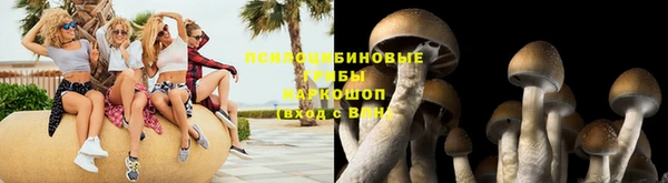 скорость Аркадак