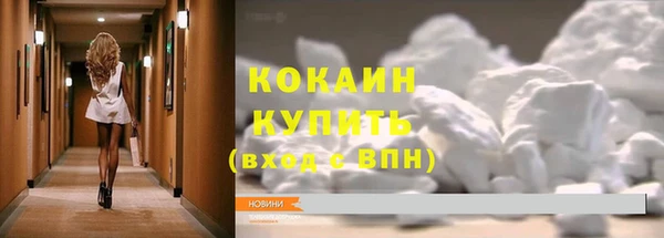 ПСИЛОЦИБИНОВЫЕ ГРИБЫ Арсеньев