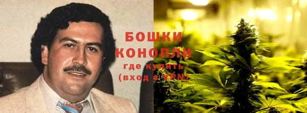 ПСИЛОЦИБИНОВЫЕ ГРИБЫ Арсеньев
