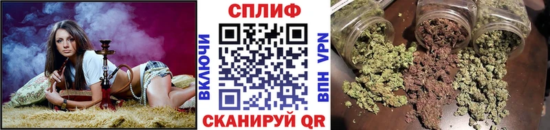 Марихуана конопля  наркотики  Пущино 